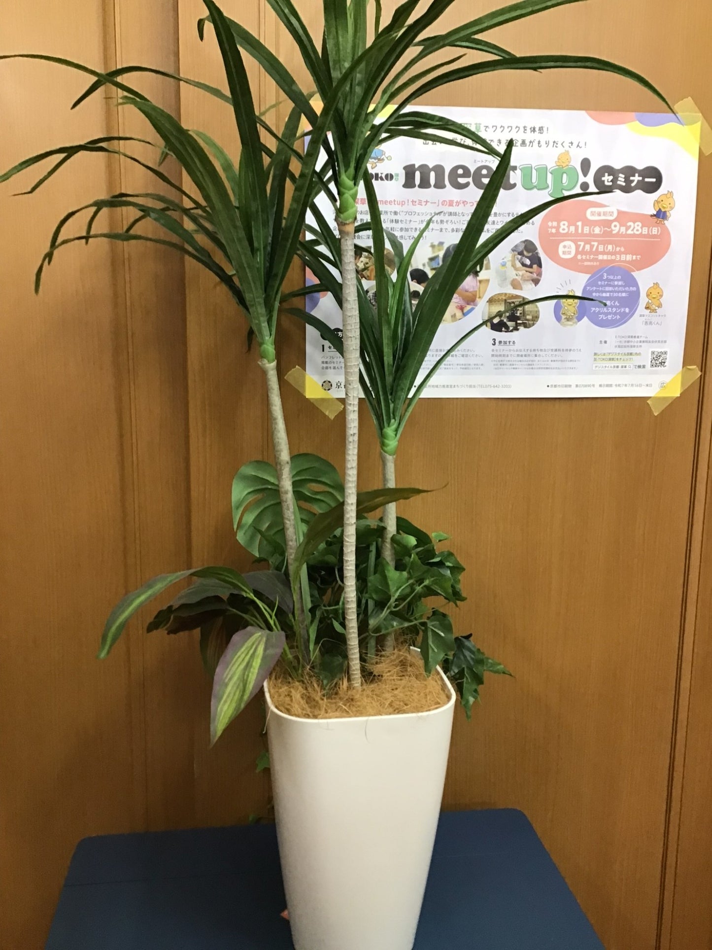 【深草店】 フェイクグリーン