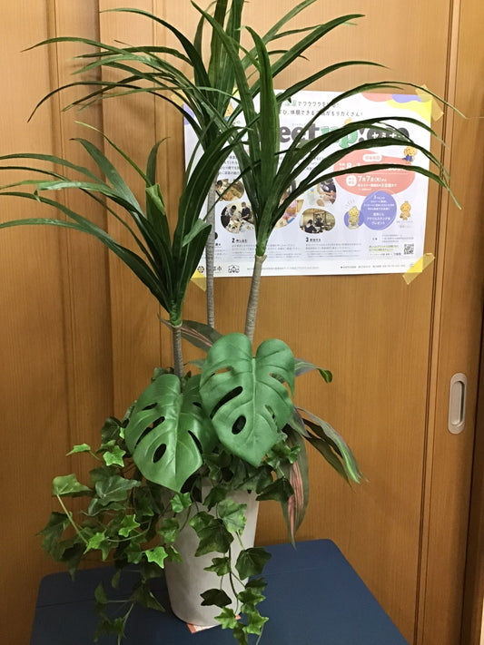 【深草店】 フェイクグリーン