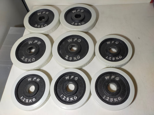 【サテライト】 ラバープレート WFG ワイルドフィット 2.5kg×4枚 1.25kg×4枚