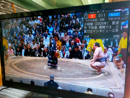 【サテライト】 液晶テレビ エスキュービズム 24V型 DVD内蔵 GL-24L01DV  2018年製