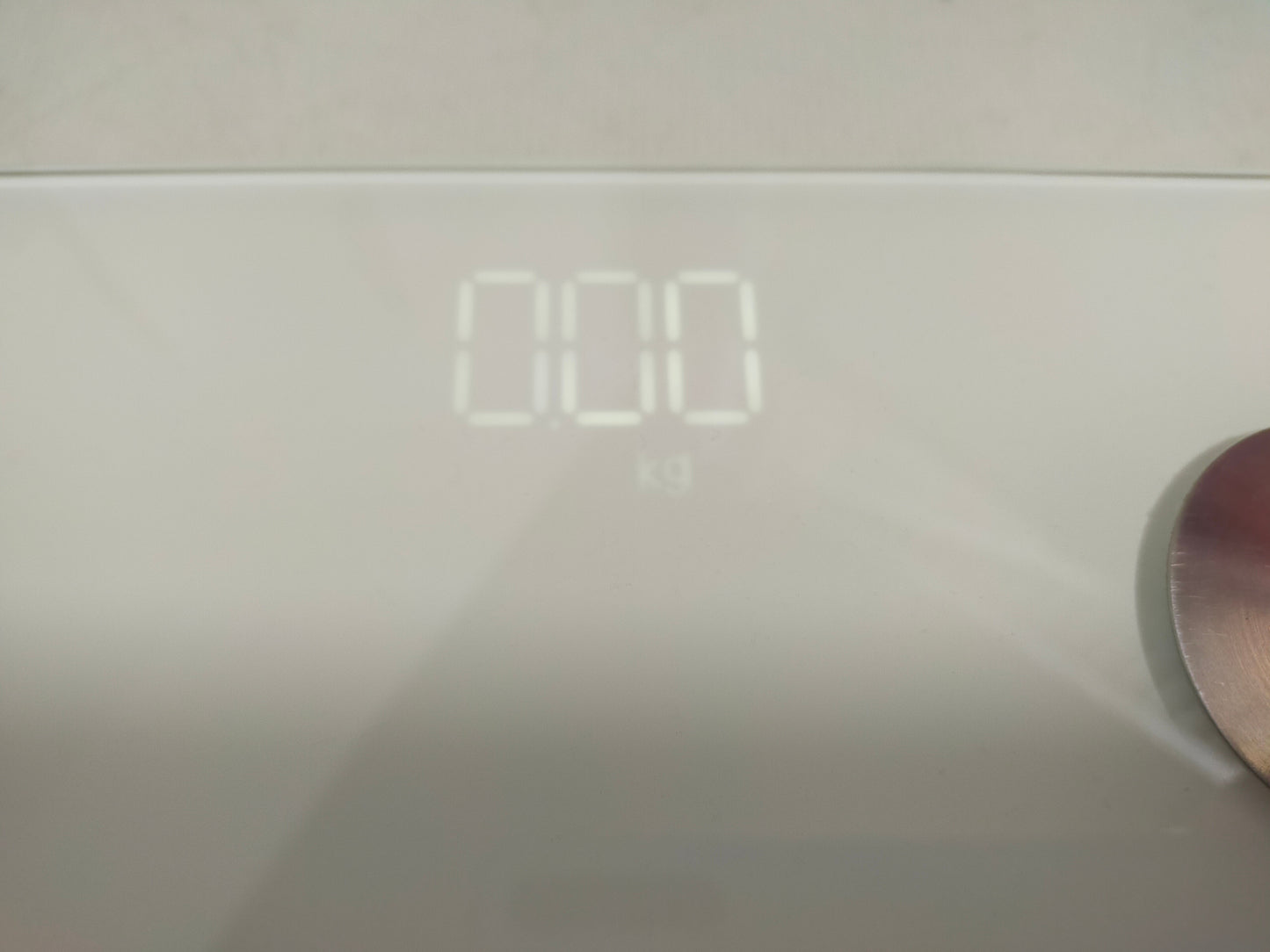 【サテライト】 ヘルスメーター RENPHO USB-B充電 ES-26P1