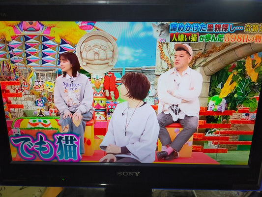 【深草店】 液晶テレビ SONY BRAVIA 22V型 KDL-22J5-L 

 2009年製